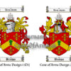 Brown (Scottish) Coats of Arms (Family Crests) 2 Designs