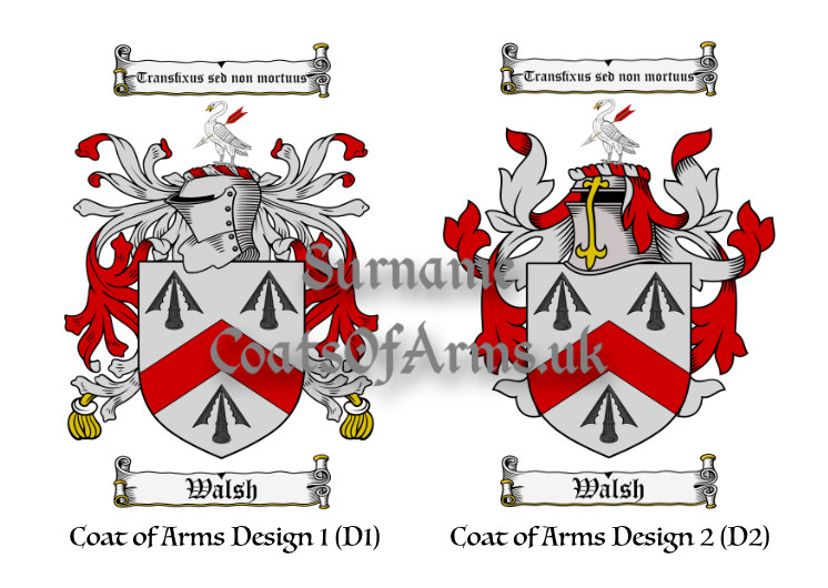 Walsh (Irish) Coats of Arms (Family Crests) 2 Designs