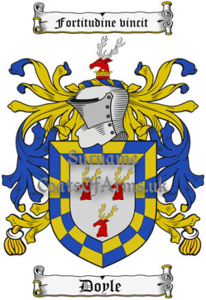 Doyle (Ireland) Coat of Arms Family Crest PNG Instant Image Download