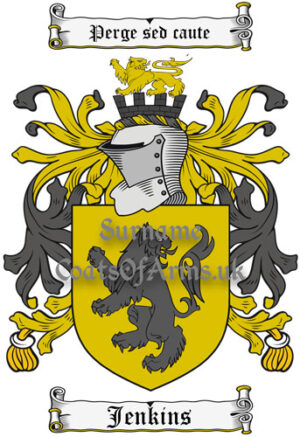 Jenkins (English) Coat of Arms Family Crest PNG Instant Image Download