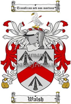 Walsh (Ireland) Coat of Arms Family Crest PNG Instant Image Download