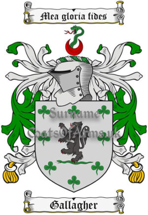 Gallagher (Ireland) Coat of Arms Family Crest PNG Image Instant Download