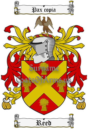 Reed (England) Coat of Arms Family Crest PNG Image Instant Download