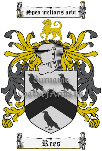 Rees (Welsh) Coat of Arms Family Crest PNG Image Instant Download