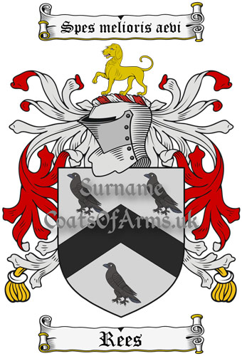 Rees (Wales) Coat of Arms (Family Crest) Instant PNG Image Download