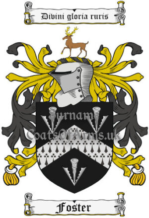Foster (Irish) Coat of Arms Family Crest PNG Image Instant Download