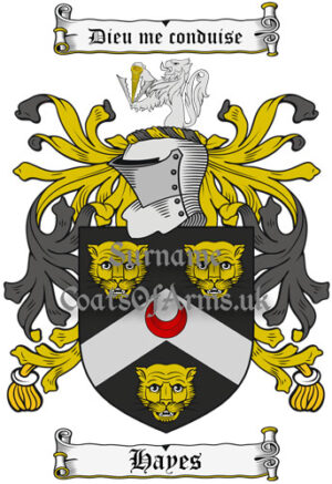 Hayes (English) Coat of Arms Family Crest PNG Image Instant Download