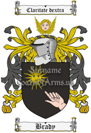 Brady (Ireland) Coat of Arms Family Crest PNG Image Instant Download