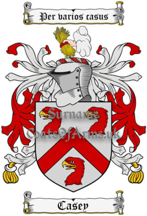 Casey (Ireland) Coat of Arms Family Crest PNG Image Instant Download