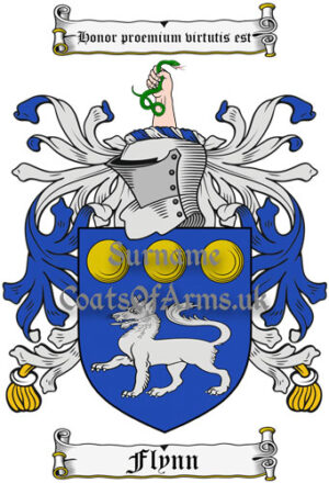 Flynn (Ireland) Coat of Arms Family Crest PNG Image Instant Download