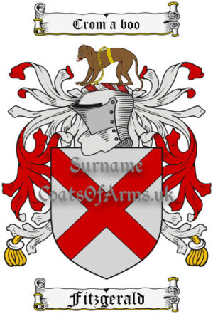 Fitzgerald (Ireland) Coat of Arms Family Crest PNG Image Instant Download