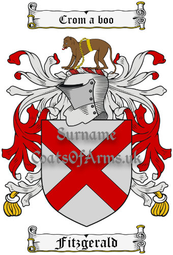 Fitzgerald (Ireland) Coat of Arms Family Crest PNG Image Instant Download