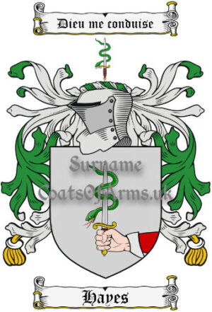 Hayes (Ireland) Coat of Arms Family Crest PNG Image Instant Download