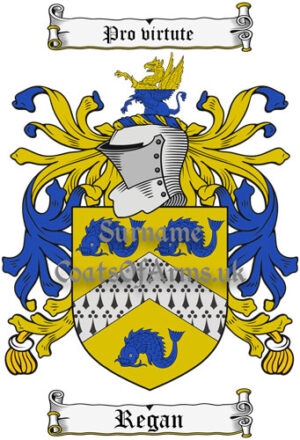 Regan (Ireland) Coat of Arms Family Crest PNG Image Instant Download