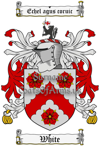 White (Ireland) Coat of Arms Family Crest PNG Image Instant Download