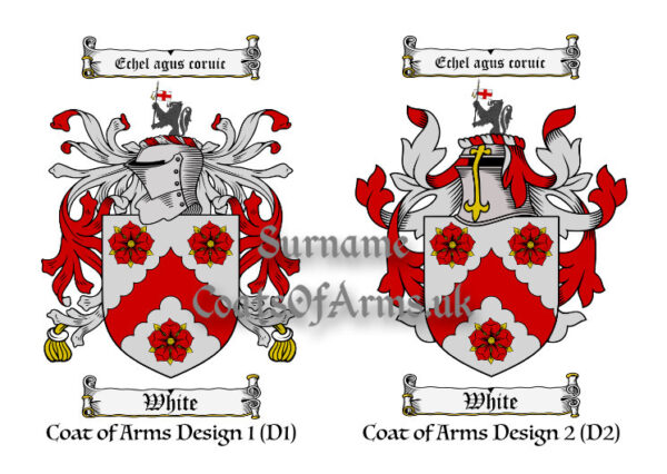 White (Irish) Coats of Arms (Family Crests) 2 Designs