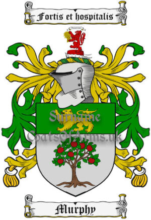 Murphy (Wexford, Ireland) Coat of Arms Family Crest PNG Image Instant Download