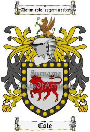 Cole (Irish-English) Coat of Arms (Family Crest)