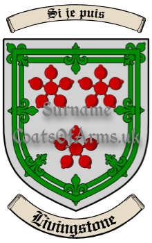 Family Surname Shield (Livingstone)