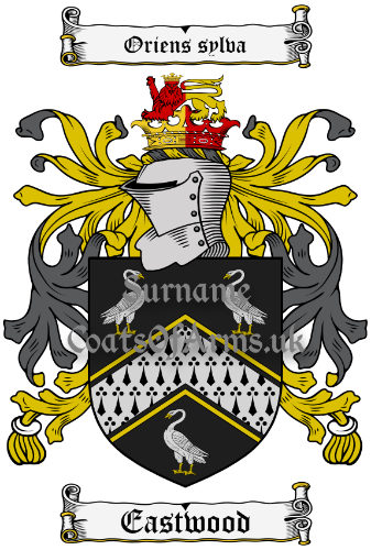 Letts Name Meaning, Family History, Family Crest & Coats of Arms