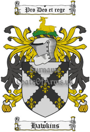 Hawkins (English) Coat of Arms Family Crest PNG Image Instant Download