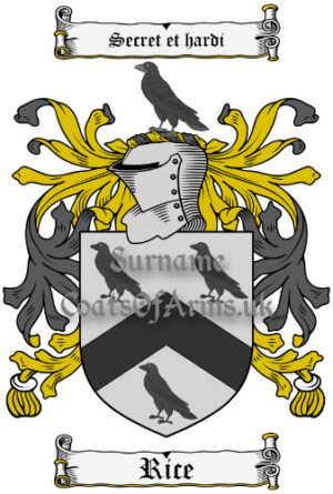 Rice (Welsh) Coat of Arms Family Crest PNG Image Instant Download