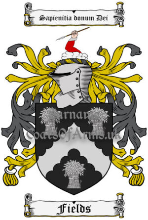 Fields (English) Coat of Arms Family Crest PNG Image Instant Download