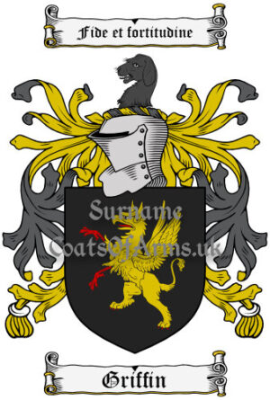 Griffin (Irish) Coat of Arms Family Crest PNG Image Instant Download
