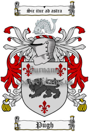 Pugh (Welsh) Coat of Arms Family Crest PNG Image Instant Download