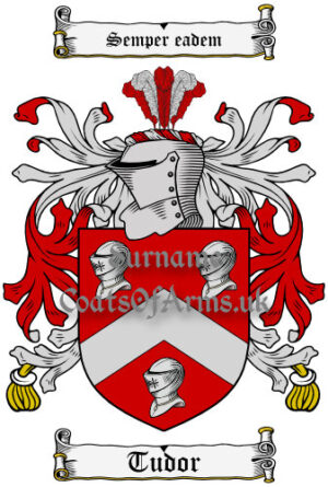Tudor (Welsh) Coat of Arms Family Crest PNG Image Instant Download