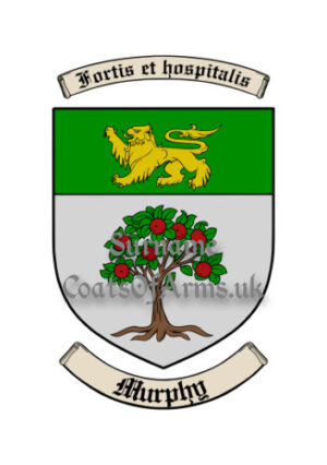 Murphy (Wexford, Ireland) Surname Shield (Coat of Arms, Family Crest) Image