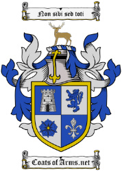 Family Surname Coats of Arms (Family Crest) Image Download