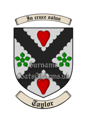 Taylor (Scottish) Shield (Coats of Arms Family Crests)