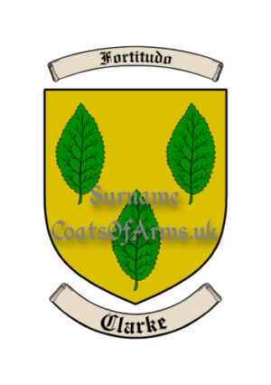 Clarke (Irish) Shield (Coats of Arms Family Crests)