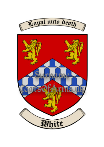 White (English) Shield (Coats of Arms Family Crests)
