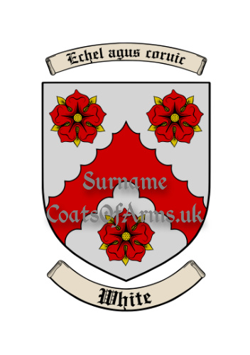 White (Irish) Shield (Coats of Arms Family Crests)
