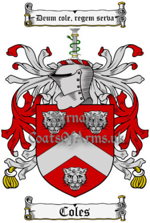 Coles (English) Coat of Arms Family Crest PNG Image Instant Download