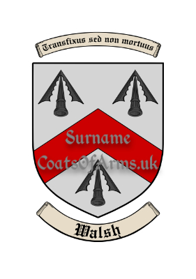 Walsh (Irish) Shield (Coats of Arms Family Crests)