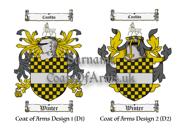 Winter (English) Coats of Arms (Family Crests) 2 Designs
