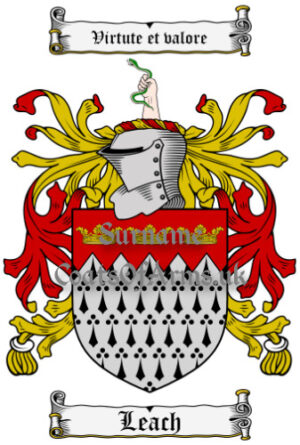 Leach (English) Coat of Arms Family Crest PNG Image Instant Download
