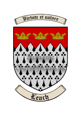 Leach (English) Shield (Coats of Arms Family Crests)